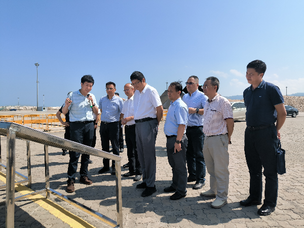江门汕尾2.jpg
