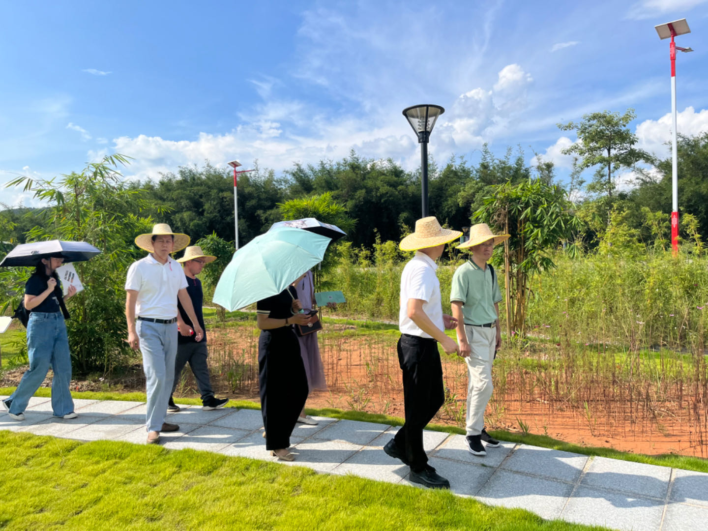 5.考察广宁县竹子种植示范基地.jpg