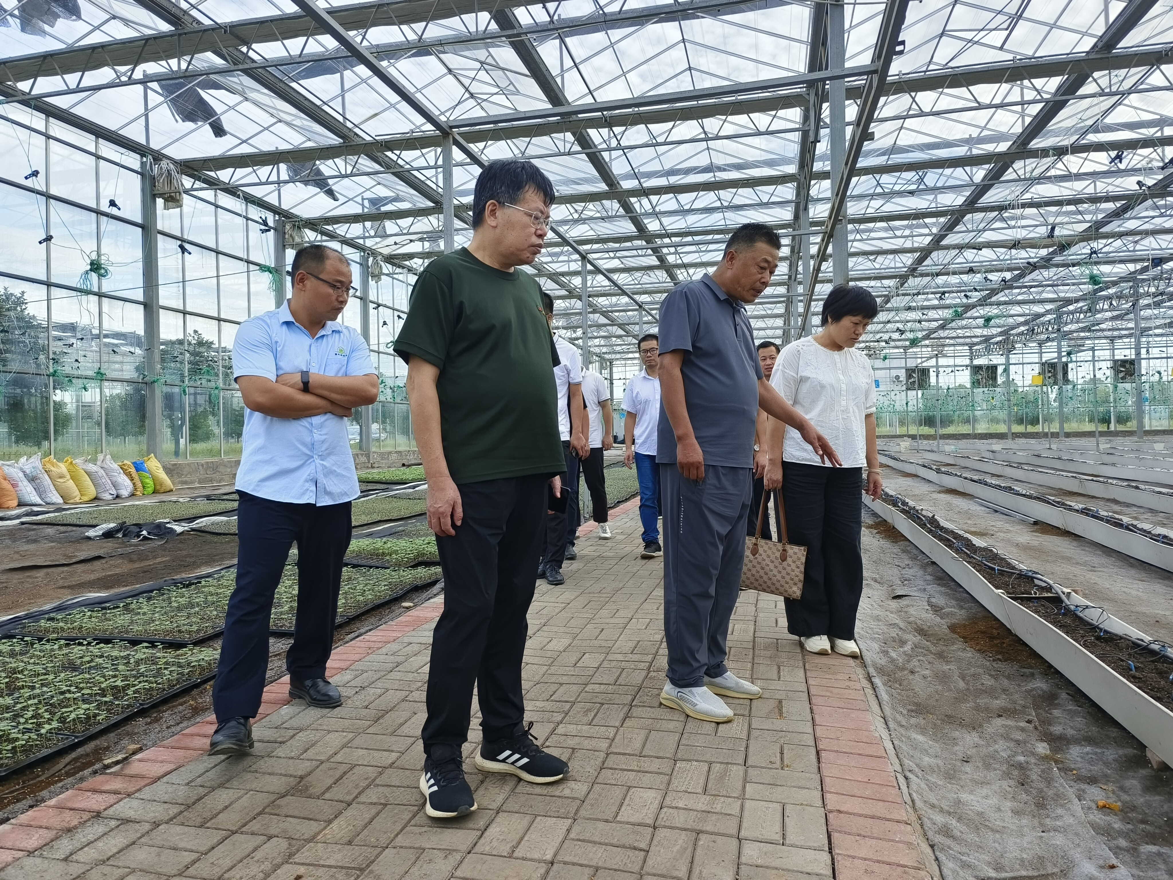 民盟南雄市总支开展专题调研_1