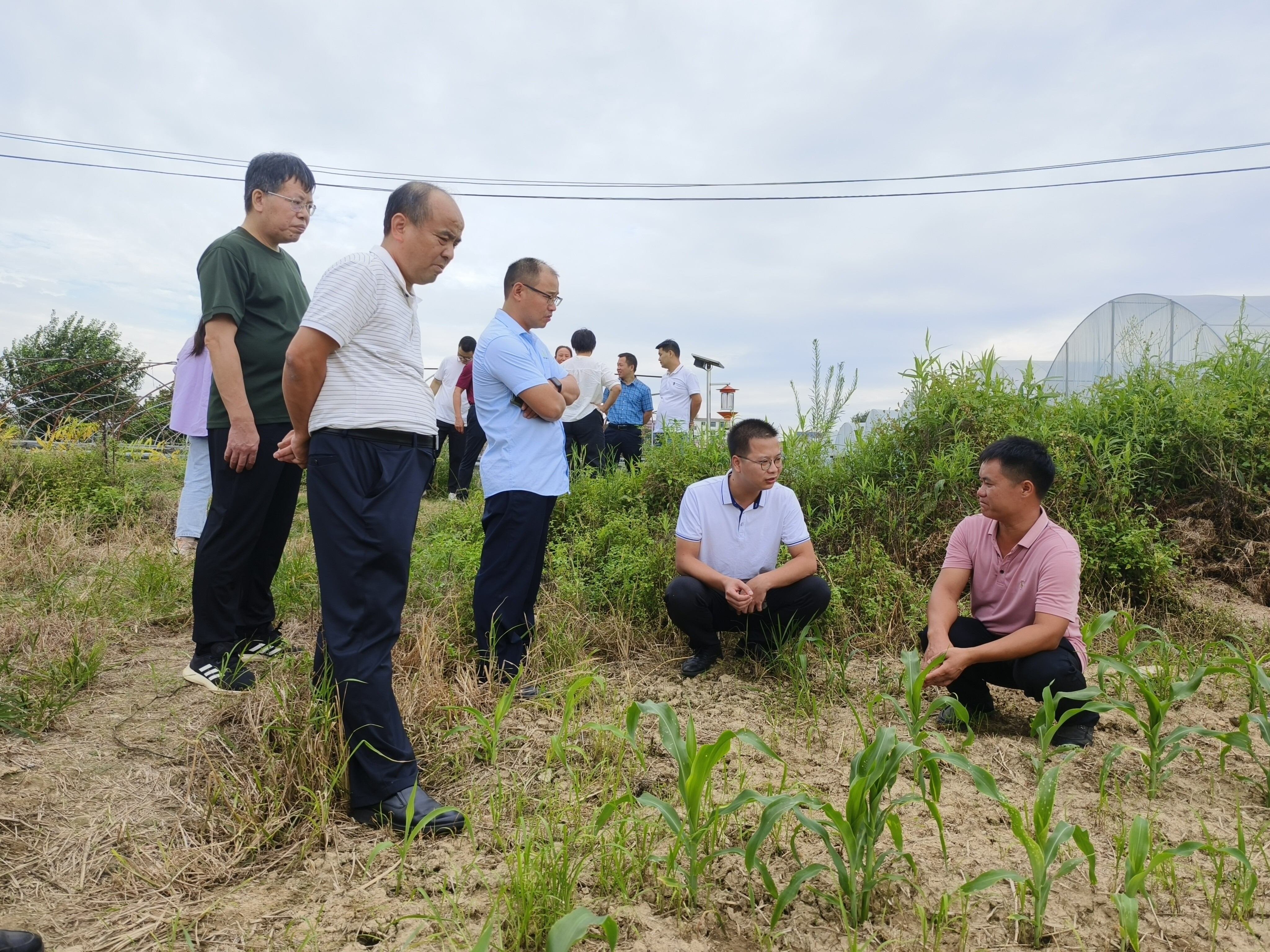 民盟南雄市总支开展专题调研_2