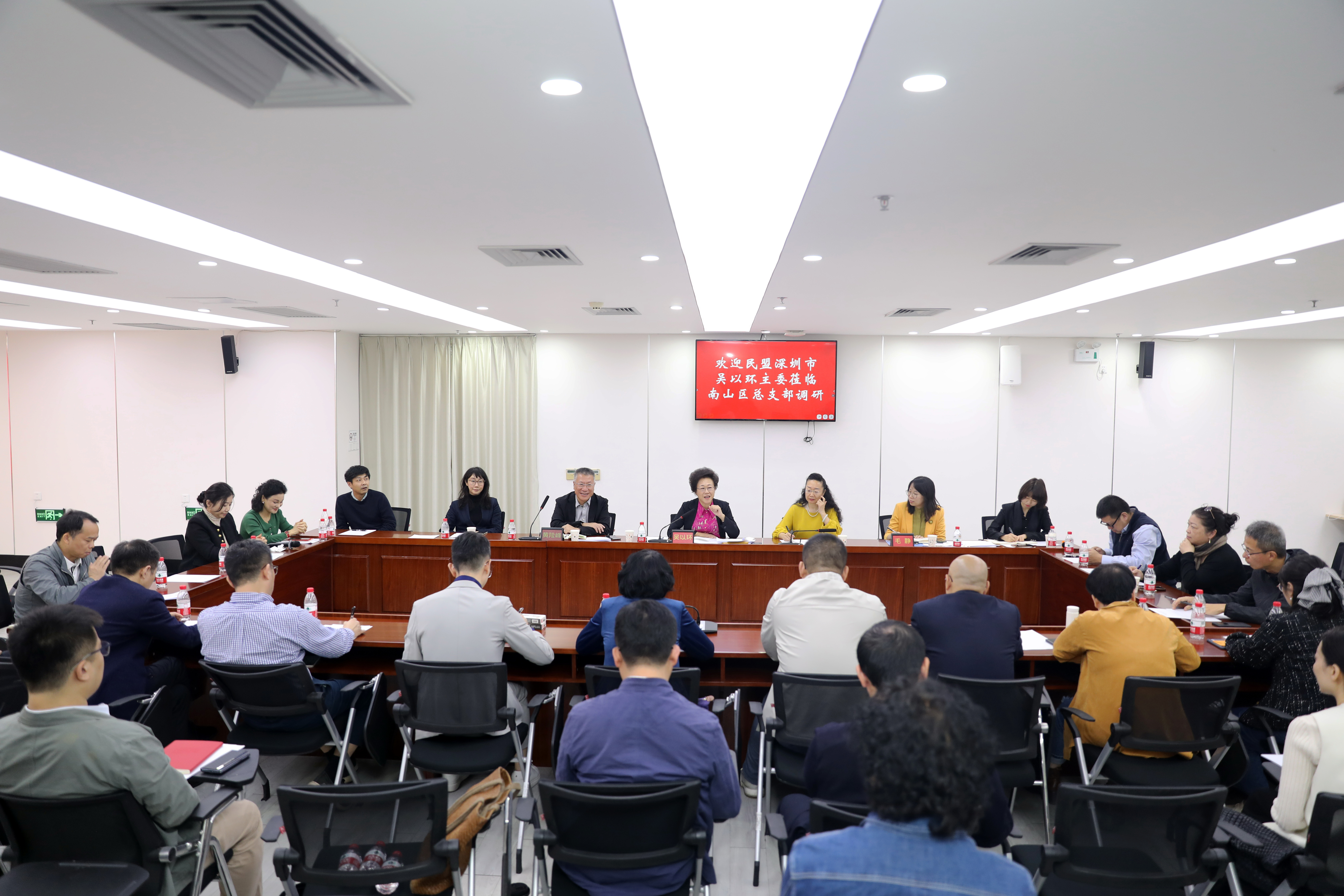 吴以环主委赴民盟南山区总支调研.jpg