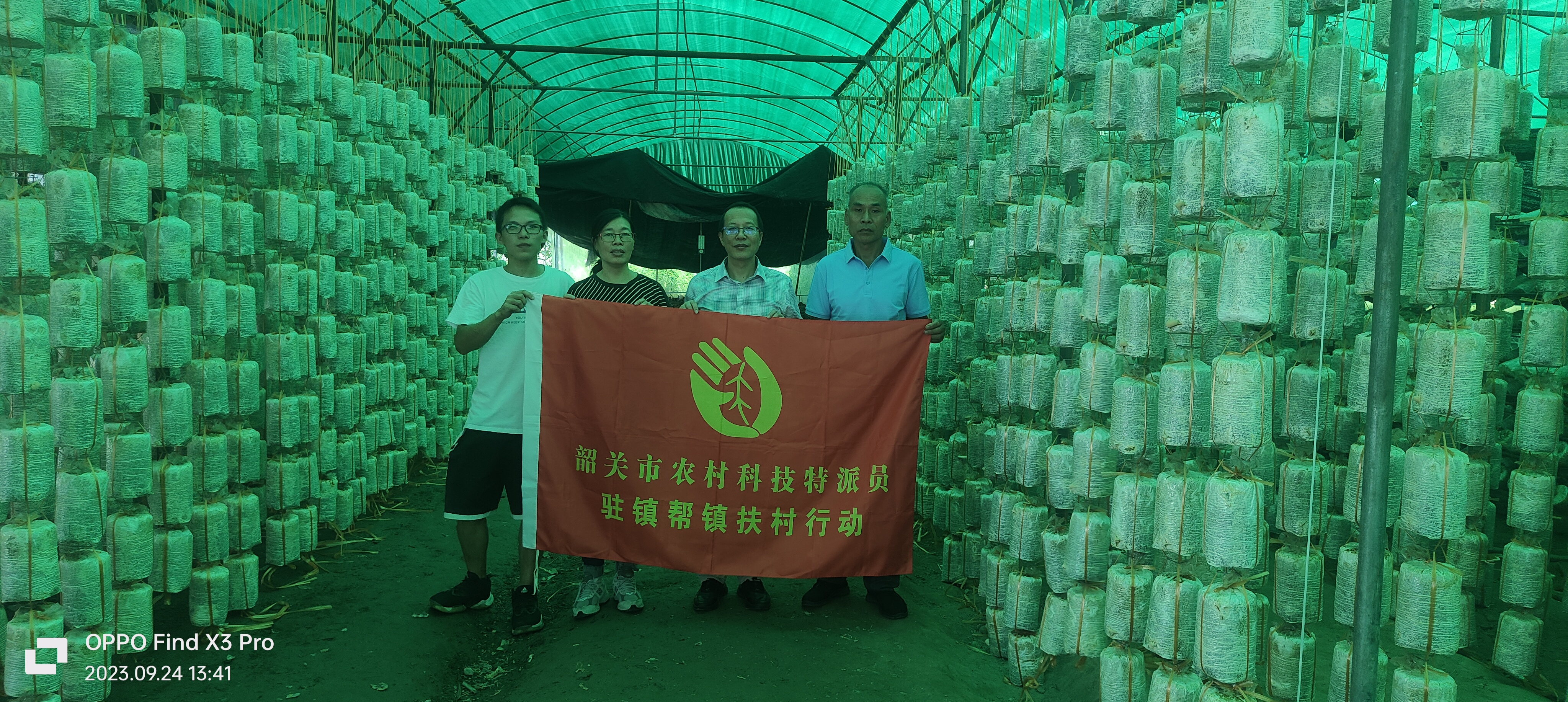 在企业生产一线进行食用菌技术指导.jpg