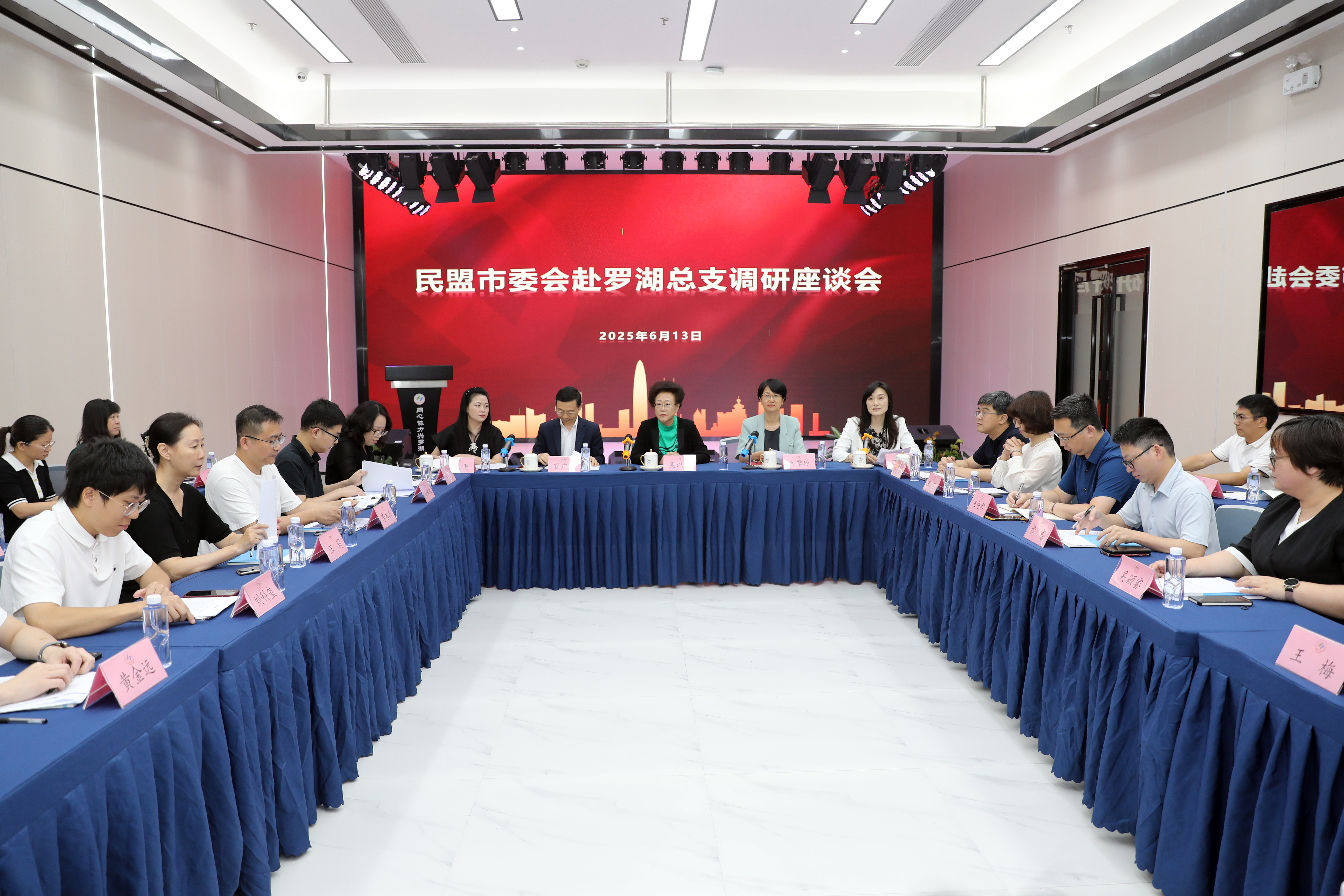 民盟深圳市委会主委吴以环赴民盟罗湖区总支召开基层组织建设调研座谈会.jpg